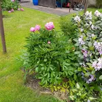 20170605_131137.webp