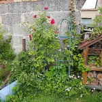 20170605_133928.webp