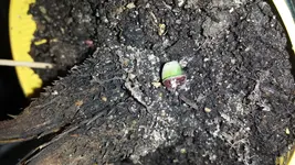 20170605_144311.webp