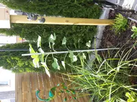 20170605_162224.webp