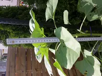 20170605_162234.webp