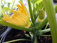 20170605_165021.webp