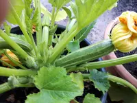 20170605_165031.webp