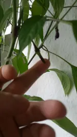 20170604_094626.webp