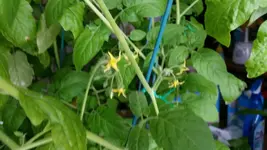 20170604_094720.webp