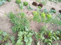 IMG_20170605_161113.jpg