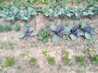 IMG_20170605_161048.webp