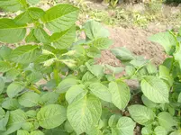 IMG_20170605_161219.webp
