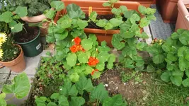 02_20170605_150918_resized.webp