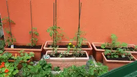 03_20170605_150912_resized.webp