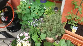 05_20170605_150925_resized.webp