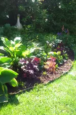 IMG_20170605_193128.webp