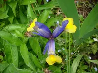 DSCI0269.webp