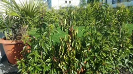 20170517_080134.webp