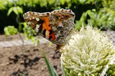 DSCN7664.webp