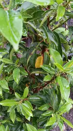 photo_2017-06-05_21-01-06 (4).webp