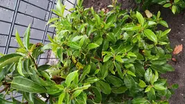 photo_2017-06-05_21-01-06 (3).webp