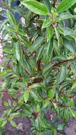 photo_2017-06-05_21-01-04 (2).webp