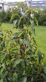 photo_2017-06-05_21-01-05.webp