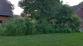 20170605_195937.webp