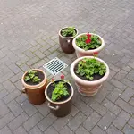 170525  Auf Warteposition.webp