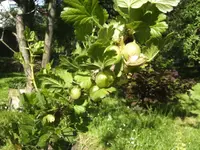 BILD6756.webp