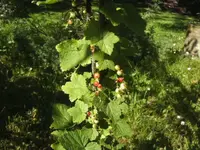 BILD6757.webp