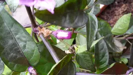 20170606_105932.webp