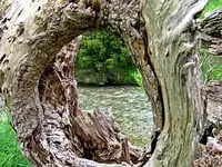 01 Kia ora  unten am Fluss.webp