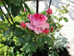 DSC00035.png