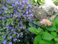 DSC00026.webp