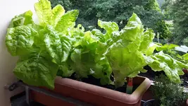 20170606_105717.webp