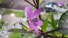 20170606_091959.webp