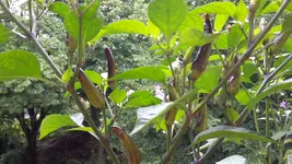 20170606_105512.webp