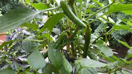 20170606_105555.webp