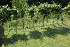 IMG_9922_Bildgröße ändern.webp