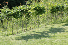 IMG_9923_Bildgröße ändern.webp