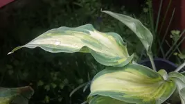 20170510_164623.webp