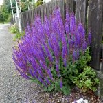 DSCN8873.JPG