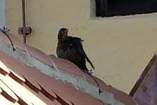 DSCN8352.webp