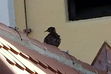 DSCN8353.webp
