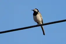 DSCN8473.webp