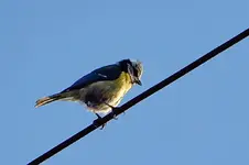 DSCN8489.webp