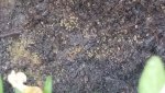 IMG-20170603-WA0004.jpg
