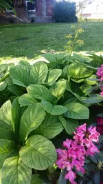 IMG-20170604-WA0002.webp