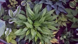 20170526_214809.jpg