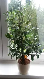 20170607_095705.webp