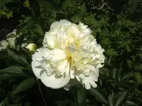 BILD6837.webp