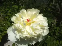 BILD6838.webp