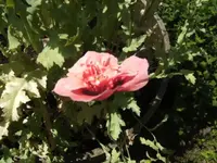 BILD6861.webp